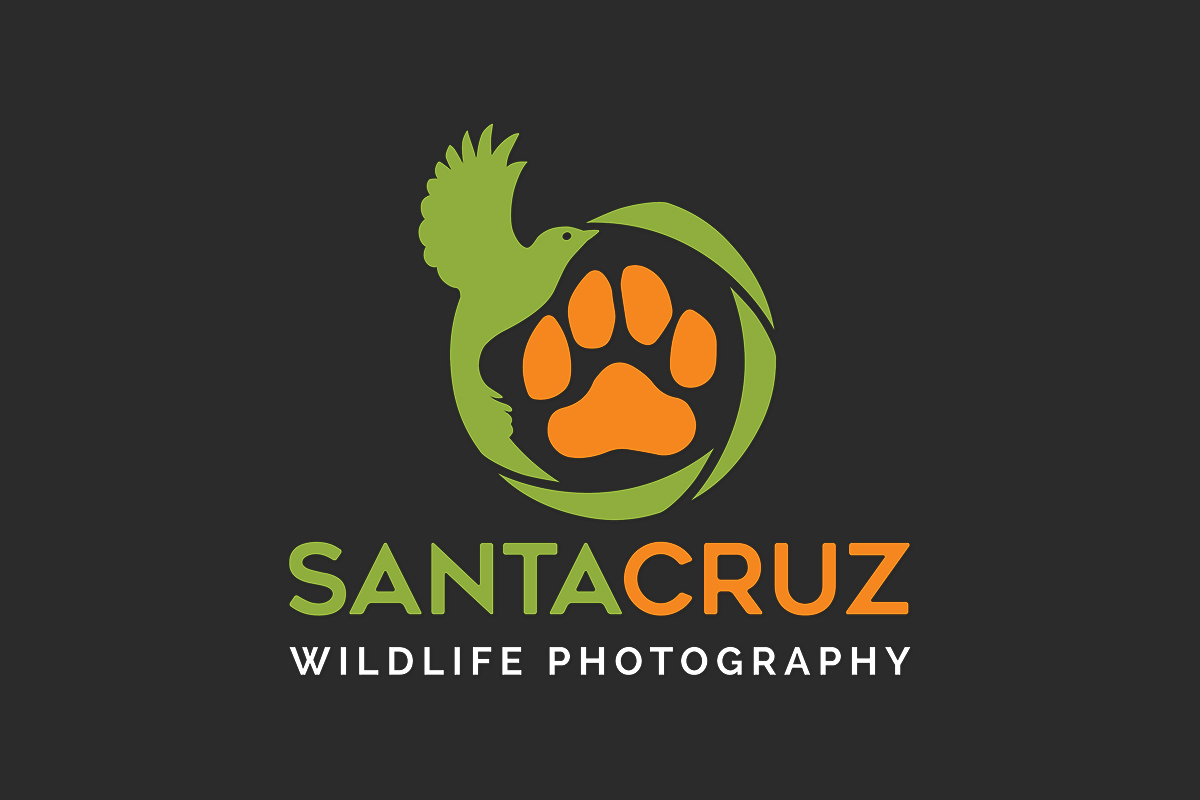 Manny Marquez - Professional Photographer, Guide & Instructor