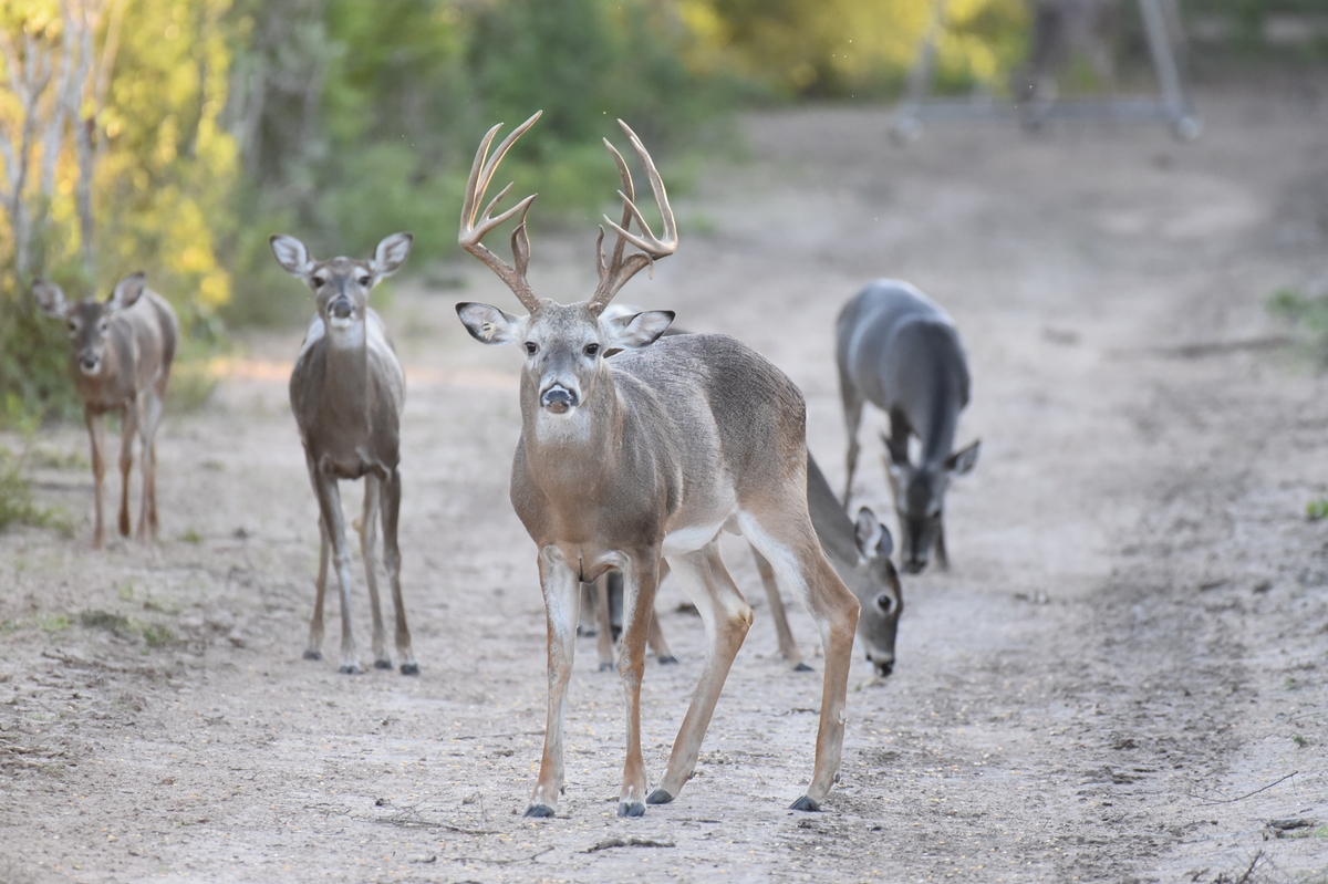 Photography Sessions